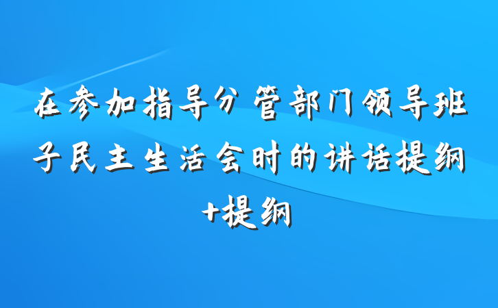 在参加指导分管部门领导班子民主生活会时的讲话提纲 提纲