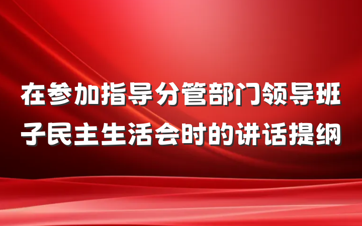 在参加指导分管部门领导班子民主生活会时的讲话提纲
