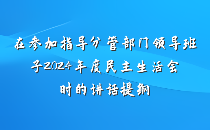 在参加指导分管部门领导班子2024年度民主生活会时的讲话提纲