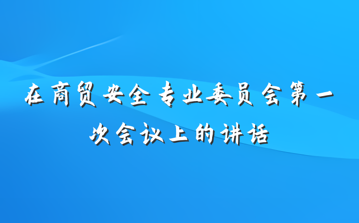 在商贸安全专业委员会第一次会议上的讲话