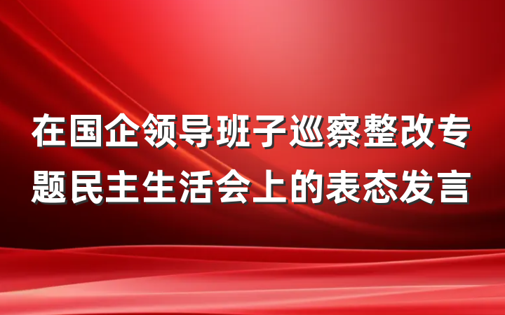 在国企领导班子巡察整改专题民主生活会上的表态发言
