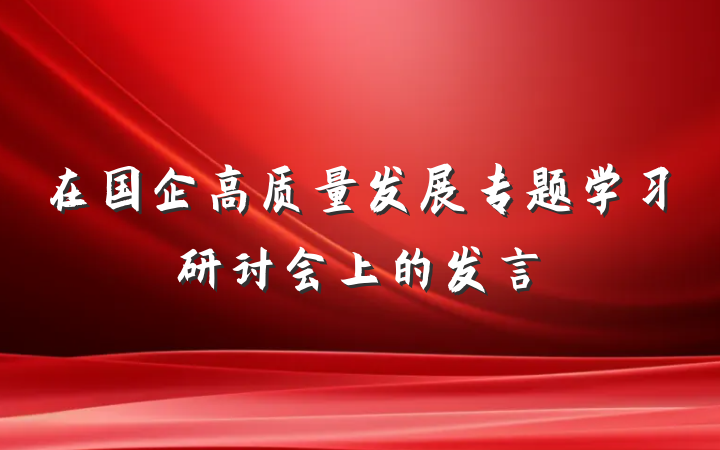 在国企高质量发展专题学习研讨会上的发言