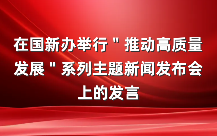 在国新办举行＂推动高质量发展＂系列主题新闻发布会上的发言