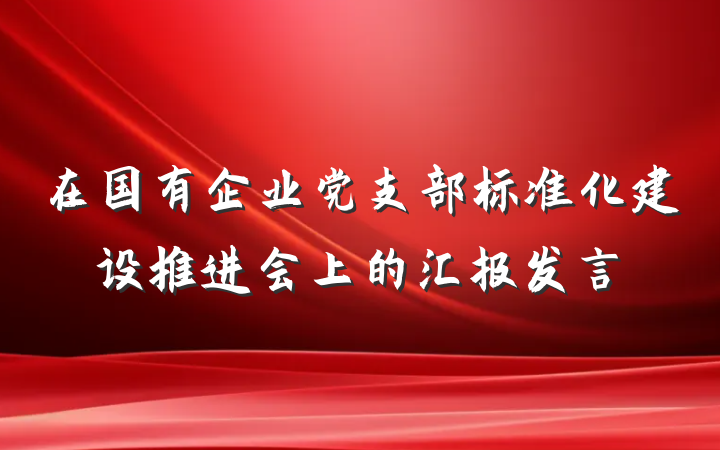 在国有企业党支部标准化建设推进会上的汇报发言