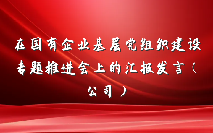 在国有企业基层党组织建设专题推进会上的汇报发言（公司）