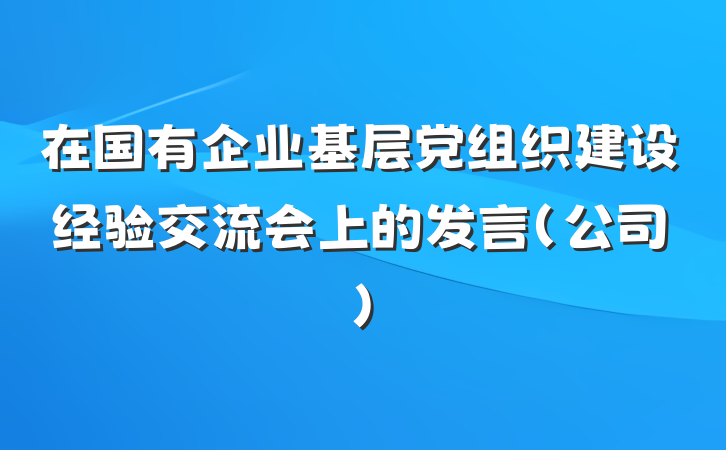 在国有企业基层党组织建设经验交流会上的发言（公司）