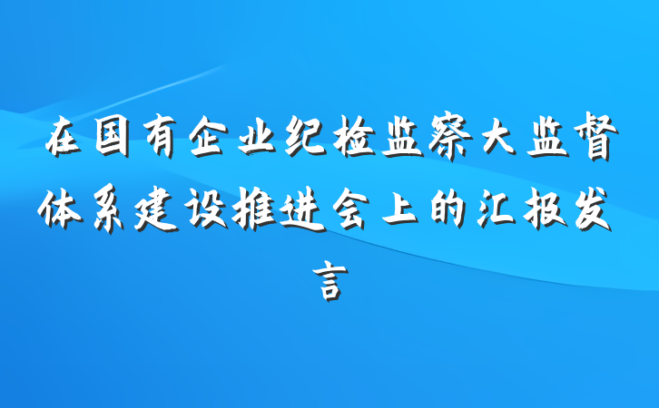 在国有企业纪检监察大监督体系建设推进会上的汇报发言