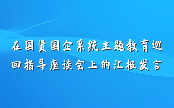 在国资国企系统主题教育巡回指导座谈会上的汇报发言