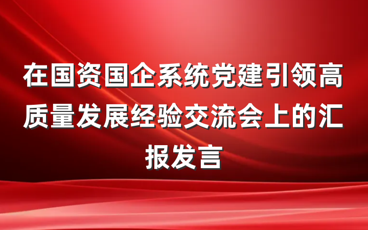 在国资国企系统党建引领高质量发展经验交流会上的汇报发言