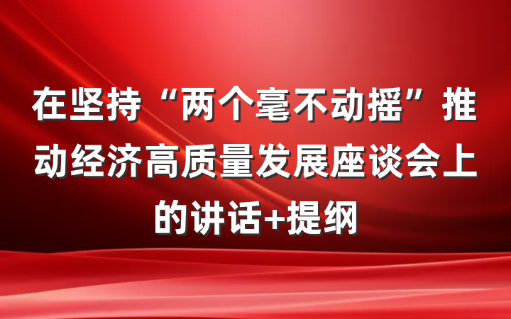 在坚持“两个毫不动摇”推动经济高质量发展座谈会上的讲话 提纲