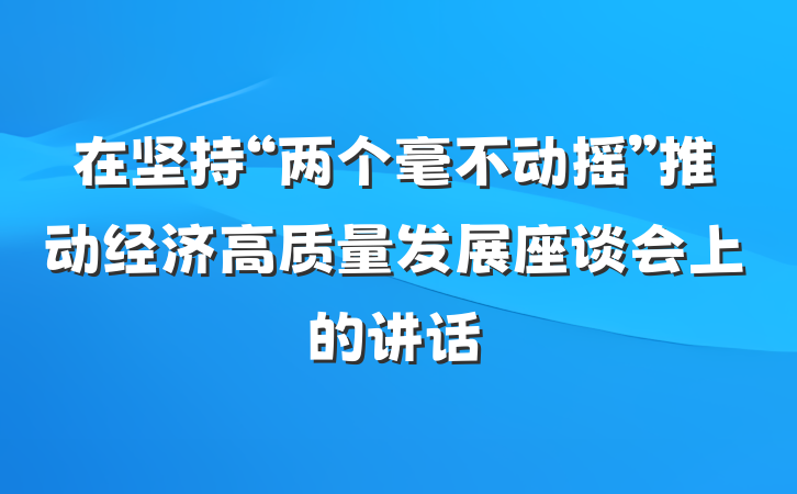 在坚持“两个毫不动摇”推动经济高质量发展座谈会上的讲话