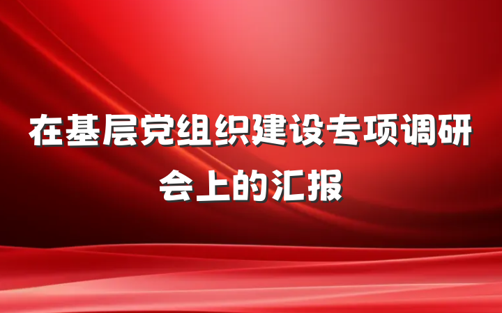 在基层党组织建设专项调研会上的汇报