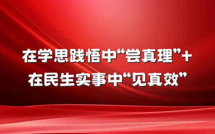 在学思践悟中“尝真理” 在民生实事中“见真效”