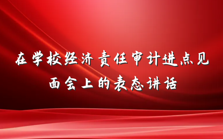 在学校经济责任审计进点见面会上的表态讲话