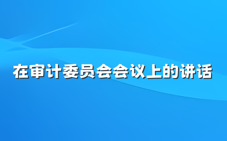 在审计委员会会议上的讲话