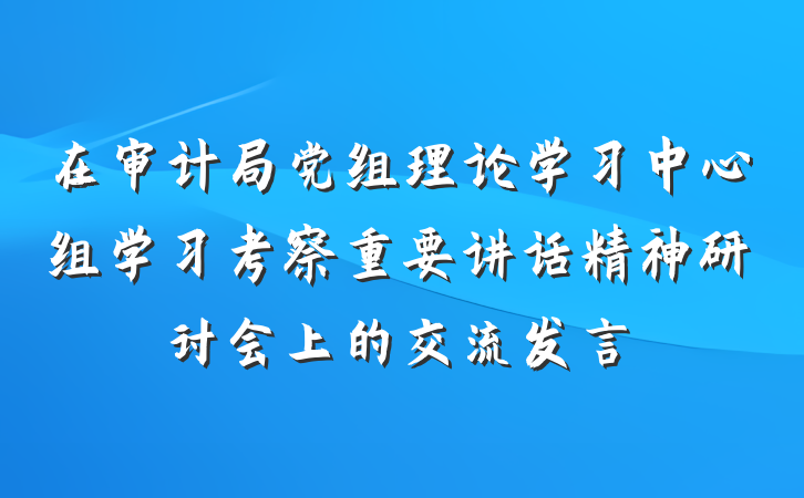 在审计局党组理论学习中心组学习考察重要讲话精神研讨会上的交流发言