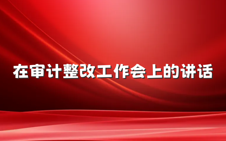 在审计整改工作会上的讲话