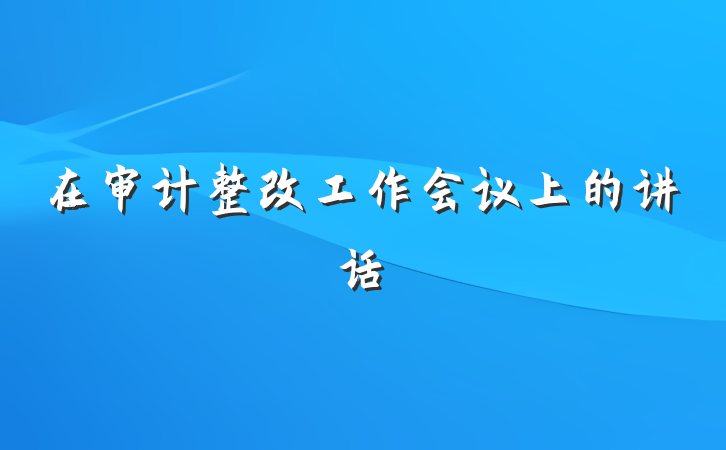 在审计整改工作会议上的讲话