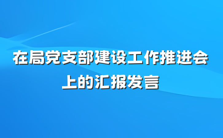 在局党支部建设工作推进会上的汇报发言