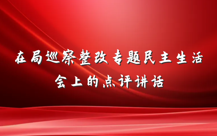在局巡察整改专题民主生活会上的点评讲话