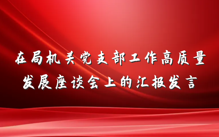 在局机关党支部工作高质量发展座谈会上的汇报发言