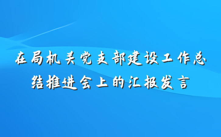 在局机关党支部建设工作总结推进会上的汇报发言