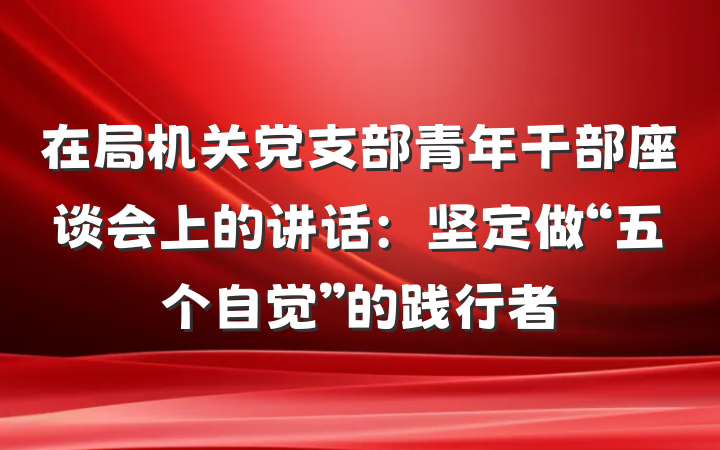 在局机关党支部青年干部座谈会上的讲话：坚定做“五个自觉”的践行者