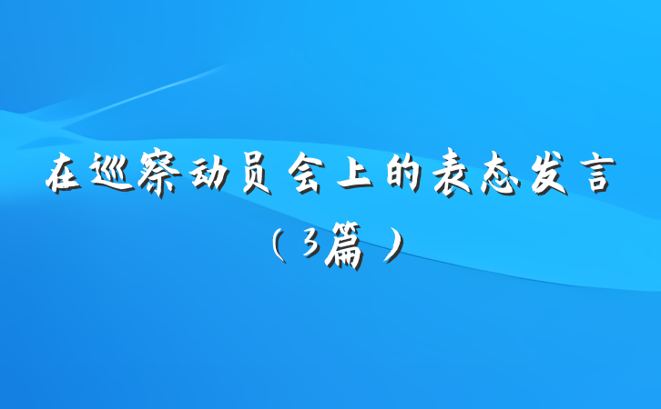 在巡察动员会上的表态发言（3篇）