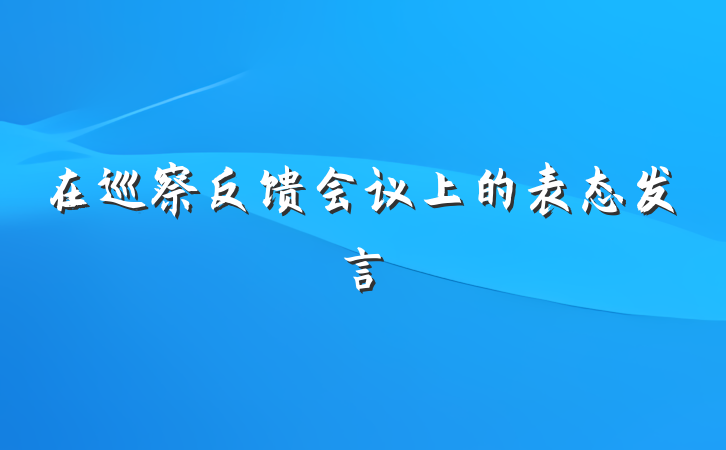 在巡察反馈会议上的表态发言