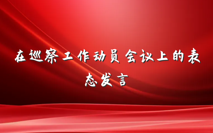 在巡察工作动员会议上的表态发言