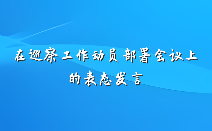 在巡察工作动员部署会议上的表态发言