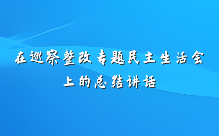 在巡察整改专题民主生活会上的总结讲话