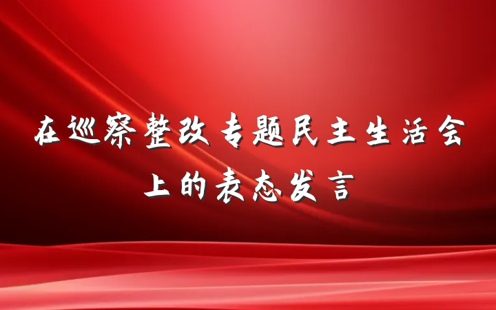 在巡察整改专题民主生活会上的表态发言