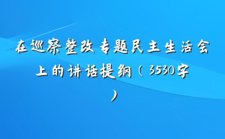 在巡察整改专题民主生活会上的讲话提纲（3530字）