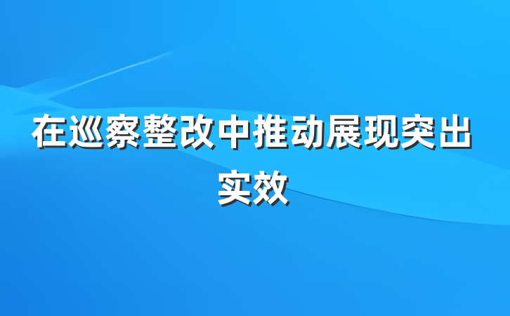 在巡察整改中推动展现突出实效