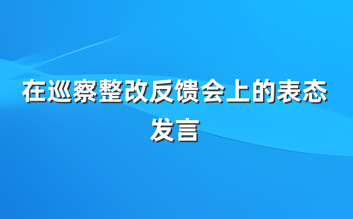 在巡察整改反馈会上的表态发言