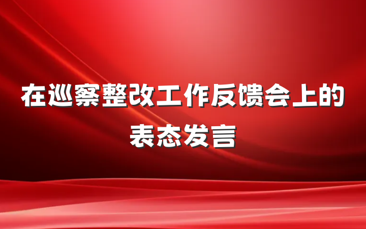 在巡察整改工作反馈会上的表态发言