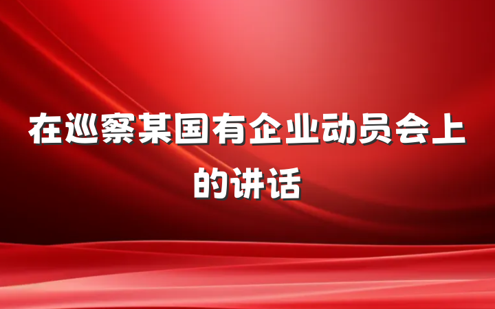 在巡察某国有企业动员会上的讲话