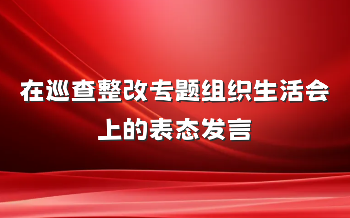 在巡查整改专题组织生活会上的表态发言