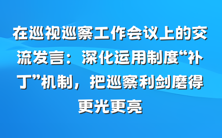 在巡视巡察工作会议上的交流发言：深化运用制度“补丁”机制，把巡察利剑磨得更光更亮