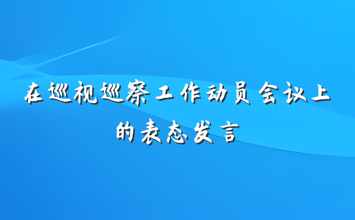 在巡视巡察工作动员会议上的表态发言
