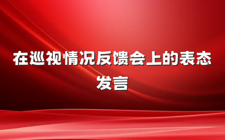 在巡视情况反馈会上的表态发言