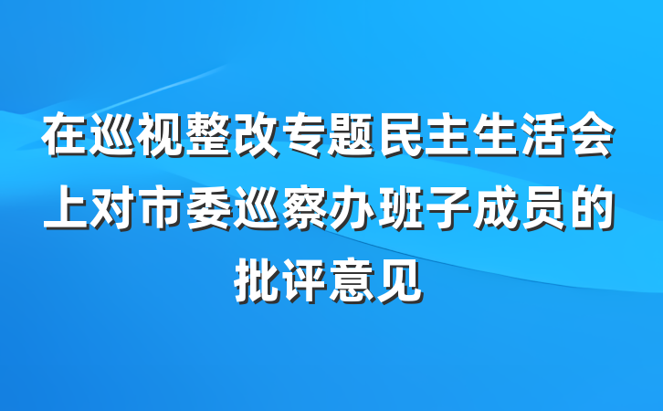 在巡视整改专题民主生活会上对市委巡察办班子成员的批评意见