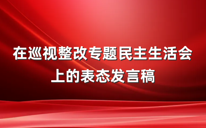 在巡视整改专题民主生活会上的表态发言稿