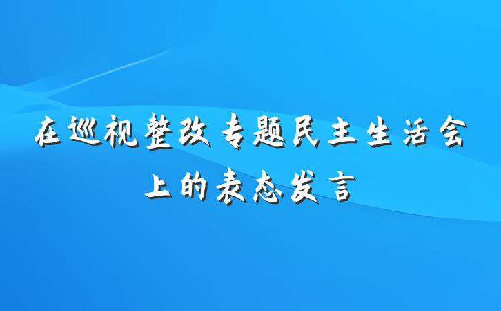 在巡视整改专题民主生活会上的表态发言