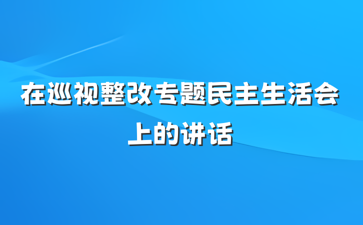 在巡视整改专题民主生活会上的讲话