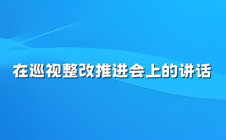 在巡视整改推进会上的讲话