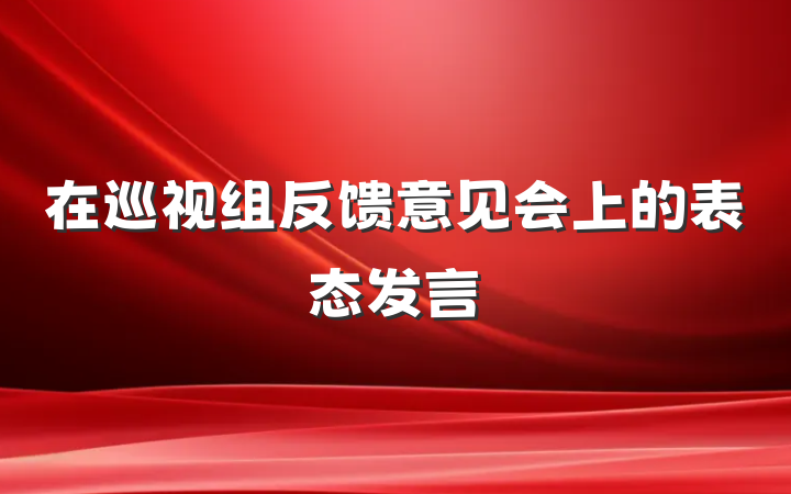 在巡视组反馈意见会上的表态发言