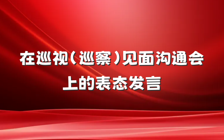 在巡视（巡察）见面沟通会上的表态发言