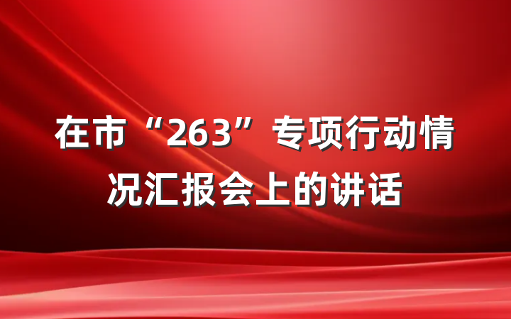 在市“263”专项行动情况汇报会上的讲话